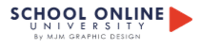 Abonnez-vous à la newsletter School Online University et obtenez des réductions incroyables